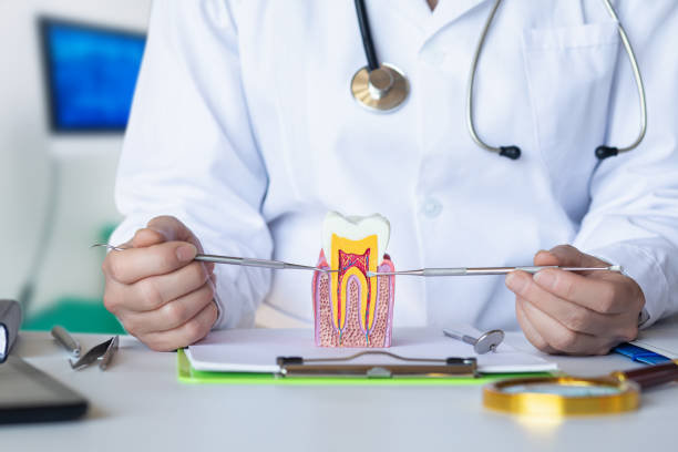 Best Emergency Dental Filling Replacement  in Diamond Springs, CA